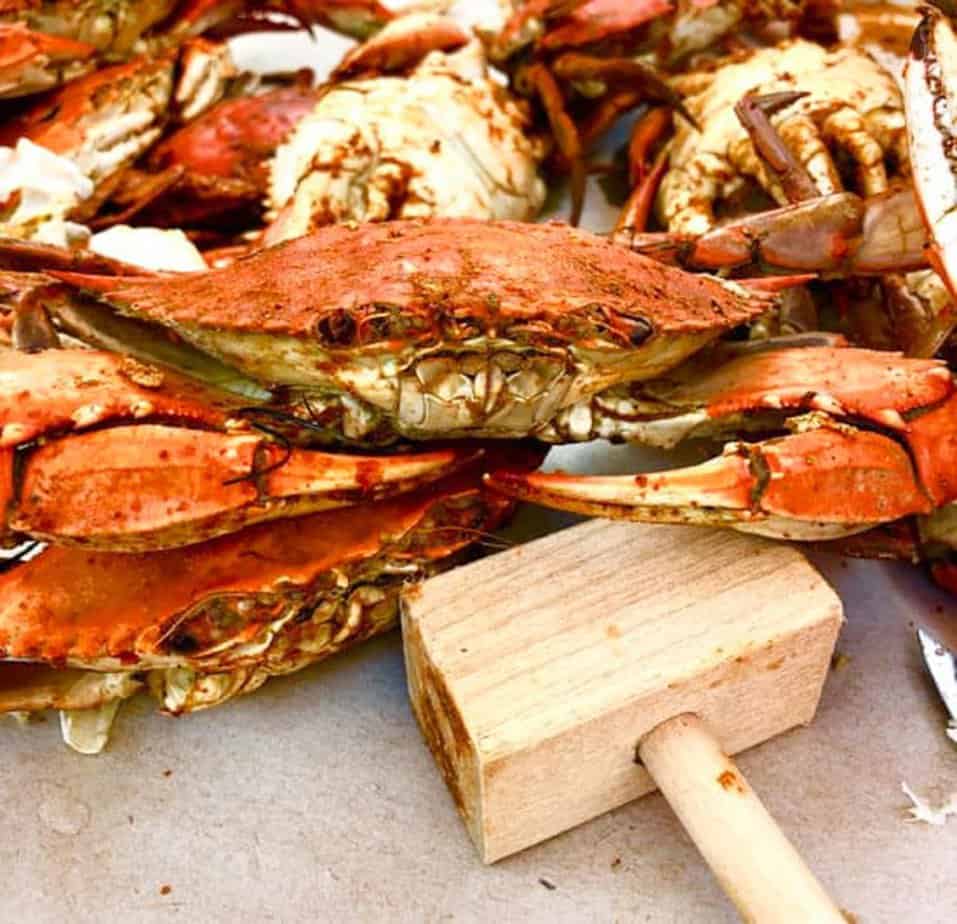 35+ Crab Festivals in Maryland (2022) Housewives of Frederick County
