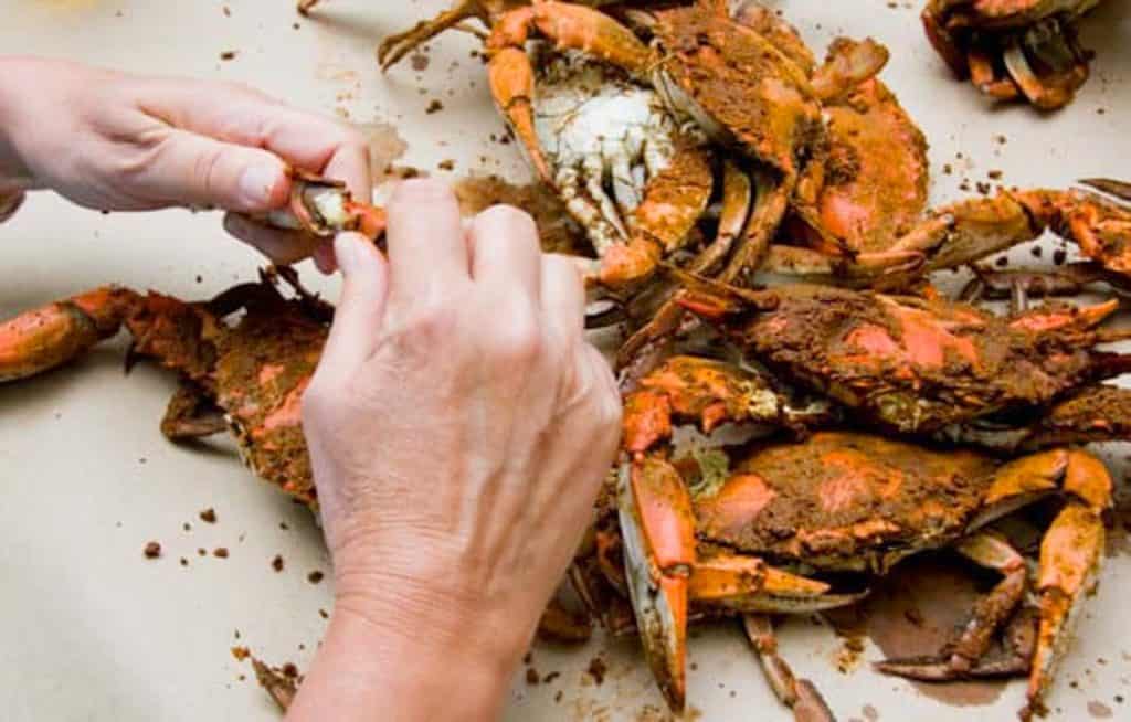 Maryland Crab Festival 2024 Danna Elfreda