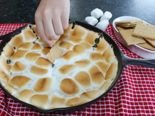 Pot holder or Oven Mitt Cute and fun! Smores Campfire Design