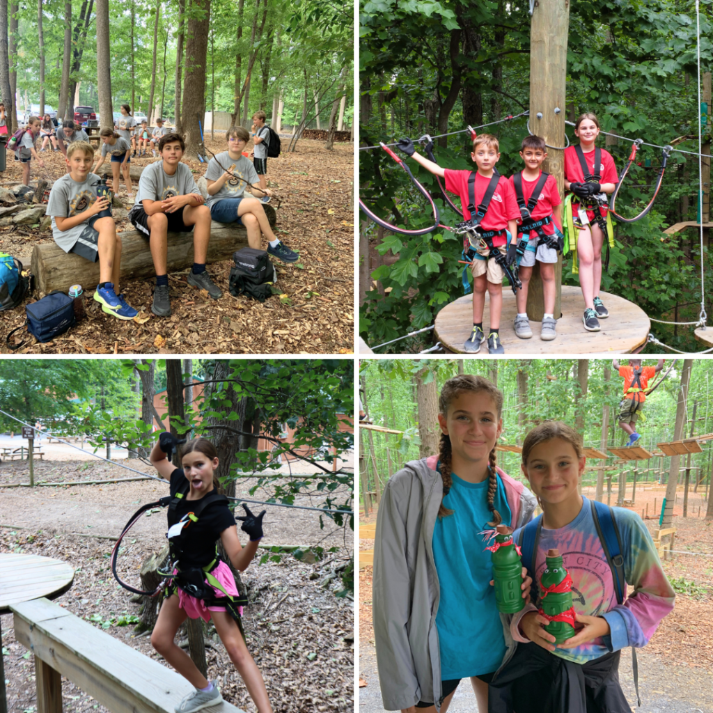 Tree Trekkers Summer Camps