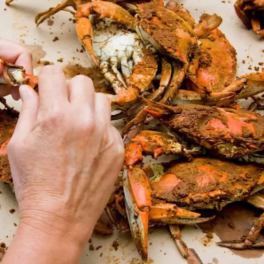 Steamed blue crabs